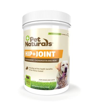Pet Naturals - Hip + Joint PRO - Joint Supplement for Dogs with Glucosamine and Green Lipped Mussel- No Artificial Ingredients 160