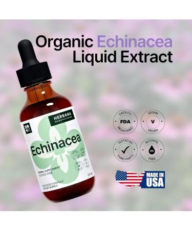 Organic Echinacea Liquid Extract - Immune System Support Supplement - High Potency Tincture 2 fl oz - 45-Day Supply - Buy Online on GoSupps.com