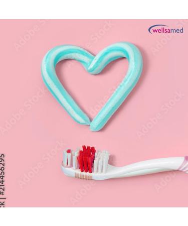 Wellsamed Value Pack - 12 CleanX Manual Toothbrushes for Superior Oral Care | Shop Internationally - Buy Online on GoSupps.com