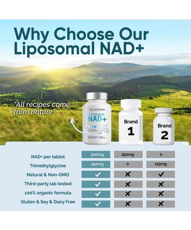 Solodate Liposomal NAD+ 500mg with TMG 250mg - 240 Capsules | Cellular Energy & Healthy Aging Support - Buy Online on GoSupps.com