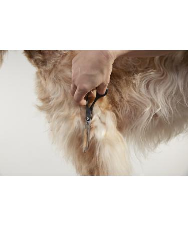 Buy Andis 6.5 Thinning Shears for Professional Dog & Cat Grooming | Right-Handed Grooming Shears (80645) - International Shipping Available - Buy Online on GoSupps.com