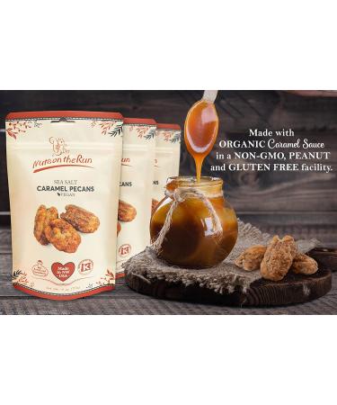 Vegan Caramel Pecans - Gluten-Free & GMO-Free Pecan Pralines - 12oz (Pack of 3) | Kosher Certified - Satisfaction Guaranteed - Buy Online on GoSupps.com