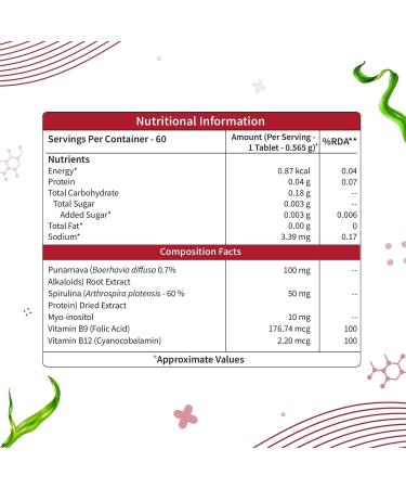 Plant-Based True B12 Supplements for Men & Women | with Myo-inositol Folic Acid & Spirulina | Supports Energy Brain Health & Better Absorption (60 Tablets) - Buy Online on GoSupps.com