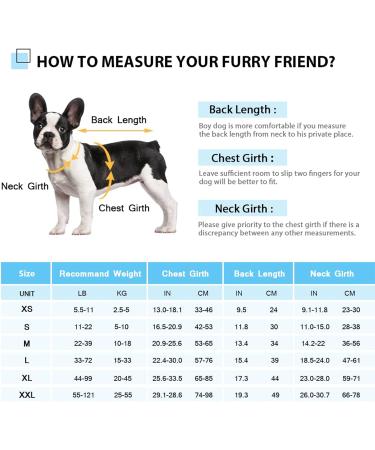 Buy Cit toile Dog Life Jacket - Safe Light & Reflective Swim Vest for Small Medium & Large Dogs - Blue Camouflage - Buy Online on GoSupps.com