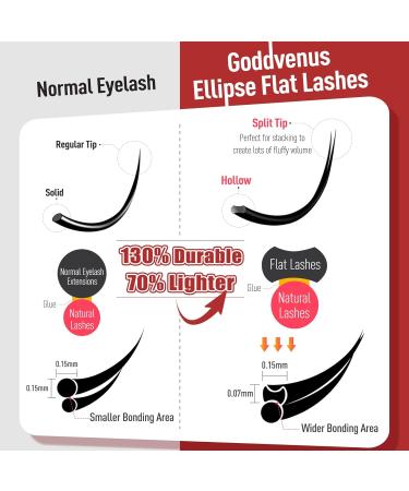 Goddvenus Wispy Cluster Lashes D Curl Individual Eyelashes Natural Paired Lash Clusters Fluffy Lashes Individual Cluster Individual Lashes DIY Lash Extensions for Beginners - Buy Online on GoSupps.com