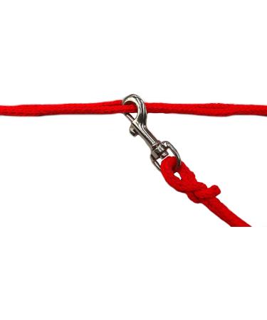 Premium 3.50m Jogging Dog Leash for Small Dogs - Red 6mm Bicycle & Training Line | Freehand Leash for Easy Walking - Buy Online on GoSupps.com