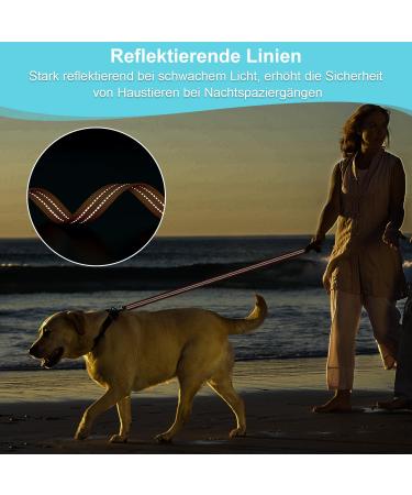 X XBen 10m Dog Tow Line | Robust Leash with Lockable Carabiner | Reflective Running & Training Line for All Dog Sizes | Comfortable Hand Loop | International Shipping - Buy Online on GoSupps.com