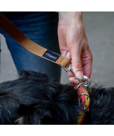 Vitazoo Brown Dog Leash 2m x 2.5cm - Adjustable Solid & Durable for Large Dogs - Double Line Design - Buy Online on GoSupps.com