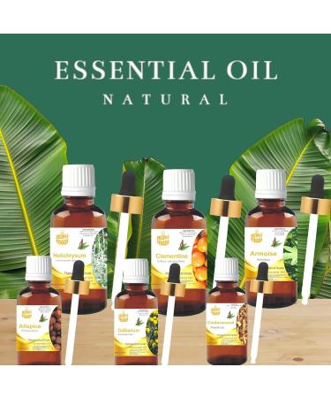 LEVENMOOI Anise Star (Illicium verum) Pure & Natural Therapeutic Grade Essential Oil Glass Without Dropper (5ml) - Buy Online on GoSupps.com