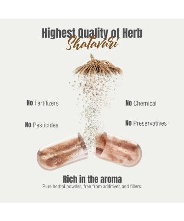 Herbsforever Shatavari(Asparagus Racemosus)-Extra Strength (8:1) Extract Equiv.to 3200mg Root Powder Per Serving-Fertility & Female Support Cycle Hormonal Balance 40% Saponins|60Veg Capsules|750mg 60 Count (Pack of 1) - Buy Online on GoSupps.com