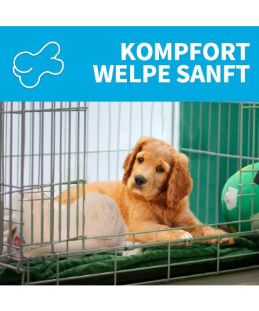 ALL FOR PAWS Puppy Heartbeat Pillow - Comforting Dog Cushion & Sleep Aid for Puppies | Plush Toy for Puppy Anxiety Relief - Buy Online on GoSupps.com