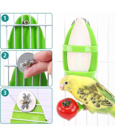 Youngsay 4-Piece Sepia Shell Bracket Set | Portable Plastic Bowls for Birds | Ideal for Serving Fruits & Vegetables (Green) - Buy Online on GoSupps.com