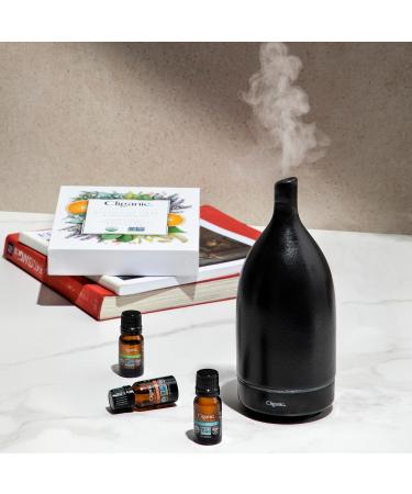 Cliganic Sleep Surrender Organic Essential Oil Blend 0.51 Fl Oz Carefully Crafted with Vetiver Lavender Frankincense Clary Sage Ylang Ylang Marjoram & Spearmint Calming Aromatherapy Oil - Buy Online on GoSupps.com