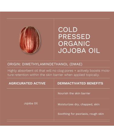 Antioxidant Moisturizing Night Cream with Organic Jojoba & Aloe Vera | Hydrate Soothe Brighten - 1.75 oz/50 ml - Buy Online on GoSupps.com