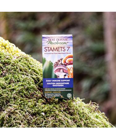 Host Defense Stamets 7 Mushroom Capsules Daily Immune Support & Energy with Organic Mycelium Blend Immune Support Blend with Lion's Mane Chaga Cordyceps Reishi Maitake Mushroom Turkey Tail Mushrooms Supplement Certified Organic Vegetarian Capsules Stamets - Buy Online on GoSupps.com