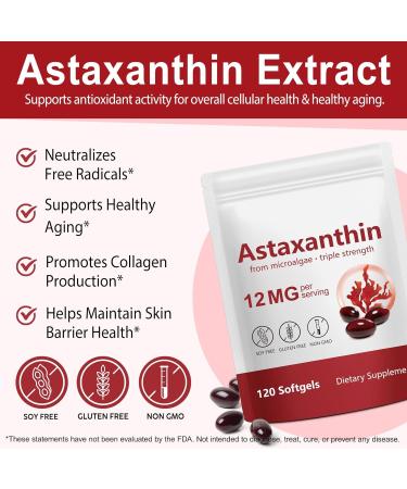 Premium Astaxanthin 12mg 120 Softgels | Natural Antioxidant Supplement for Eye Joint Skin Health Microalgae Source | 4 Month Supply | Supports Internal Circulation & Natural Tanning Non-GMO 120 Count (Pack of 1) - Buy Online on GoSupps.com