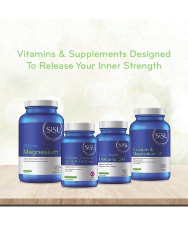 Sisu Zinc Citrate 90 Vegetable Caps - High-potency Zinc Supplement - Immune & Prostate Health Support - Vegan Non-GMO Soy Gluten & Dairy Free - 90 Servings - Buy Online on GoSupps.com