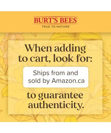 Burt's Bees Rosewater Facial Toner - 8 oz | Daily Skin Toner - Buy Online on GoSupps.com