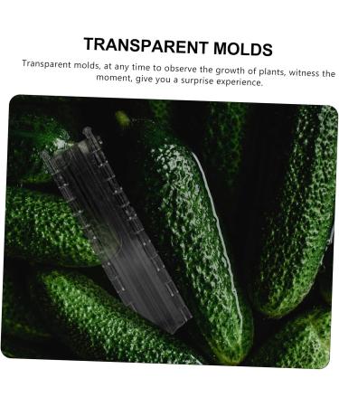 BCOATH 2pcs Melon and Fruit Shaping Mold Vegetables Pumpkin Shaping Mold Vegetable Growing Moulds Shaper - Buy Online on GoSupps.com