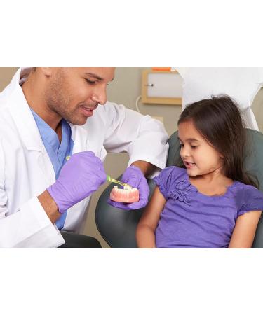 Bovdc Full Mouth Removable Dentistry Model - Soft Gums Tooth Model for Dental Students & Assistants | Ideal for Extraction Learning | International Shipping Available - Buy Online on GoSupps.com