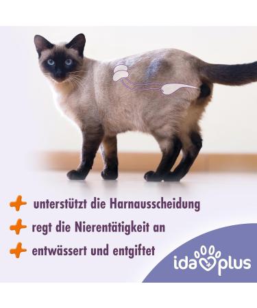 Ida Plus Renal Care Mini Sticks for Cats - Supports Kidney Health & Urine Excretion - 80 pcs - Phosphate & Uremic Toxin Control - Buy Online on GoSupps.com