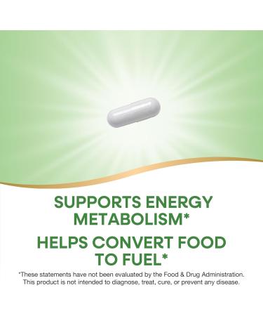 Nature's Way Vitamin B-1 100mg Thiamin HCl 100 Capsules - Buy Online on GoSupps.com