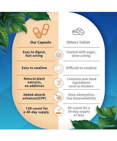 NATURE TARGET Glucosamine Chondroitin MSM Joint Support Supplement Shellfish Free Turmeric Boswellia Hyaluronic Acid Collagen Calium for Cartilage and Bone Health 120 Capsules 40 Servings - Buy Online on GoSupps.com