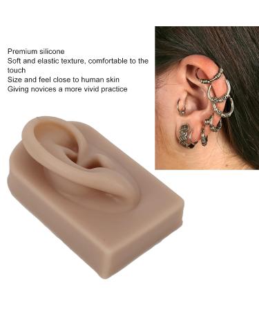 Reusable Human Ear Model - Right Ear for Piercing Training & Display (Brown) - Buy Online on GoSupps.com