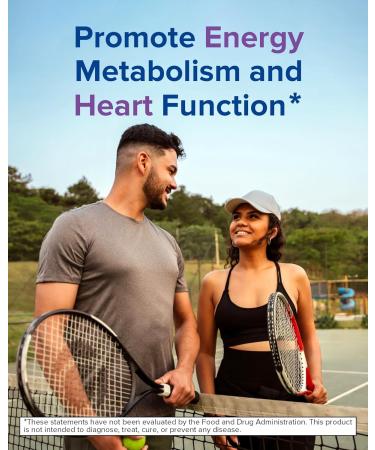 Terranics Magnesium Complex 500mg, Glycinate, Malate, Taurate, Citrate, Chelated Purified Easily Absorbed Magnesium Supplement for Sleep, Heart, Energy, Digestion Support, 60 Capsules 60 Count (Pack of 1) - Buy Online on GoSupps.com