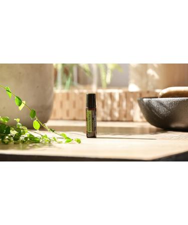 doTERRA Touch Shinrin-Yoku Forest Bathing Blend 10 mL Roll-On | Relax & Rejuvenate | International Shipping Available - Buy Online on GoSupps.com