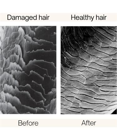 Rausch Detangling spray conditioner with Swiss herbs 100ml - Suitable for Healthy hair for the whole family. - Buy Online on GoSupps.com