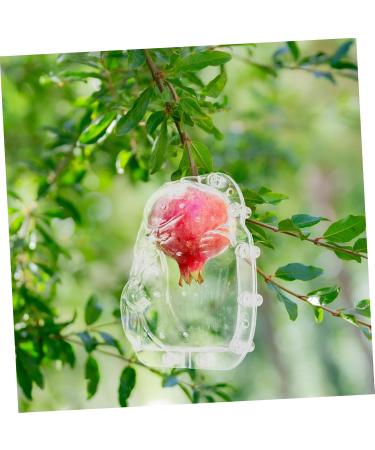 Toddmomy Novel Fruit Pear Good Shaper Reusable Ginseng Tools Forming Cucumber - Buy Online on GoSupps.com