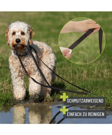 Reavet 5m Waterproof Dog Leash - Robust Black Training Line with Padded Handle for All Dog Sizes - Buy Online on GoSupps.com