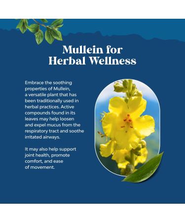 USDA Organic Mullein Leaf Drops - Herbal Lung Detox & Cleanse Marshmallow Root & Mullein Tincture Lung Support Supplement - Mullein Leaf Extract Respiratory Supplement for Sinus Immunity & Breathing - Buy Online on GoSupps.com