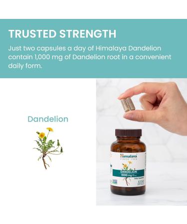 Himalaya Dandelion - Dandelion Root Supplement Supporting Daily Wellness and Health - Vegan Gluten Free 1000 mg 60 Capsules - Buy Online on GoSupps.com