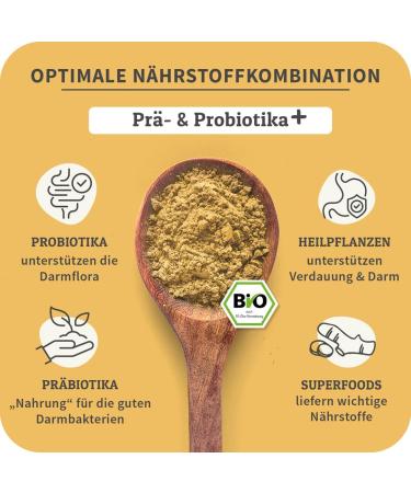 Organic Intestinal Powder for Dogs | Curapet with Probiotics & Prebiotics | Supports Digestion & Intestinal Health - 80 Portions - Buy Online on GoSupps.com