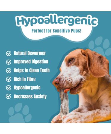 Riverside Rabbit Ears with Fur for Dogs (500g 20-25 Ears) - Very Hypoallergenic 100% Natural Air-Dried Treats For All Dogs - Large Small Adult Puppies - Raw Dog Treats - UK COMPANY 500 g (Pack of 1) - Buy Online on GoSupps.com