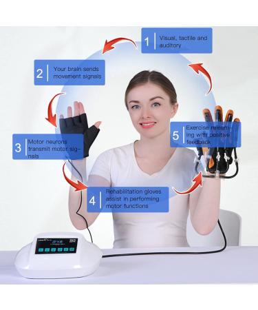 Finger Training Robot Gloves Finger Rehabilitation Trainer Hand Rehabilitation Traning Splint for Finger Trainer(Right Hand) Finger Training Device(L) - Buy Online on GoSupps.com