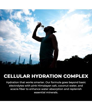 Grab The Gold Aqua Charge Electrolytes Drink Mix | Naturally Flavored Sugar-Free Hydration Drinks with B Vitamins | Vegan Gluten-Free Non-GMO | Raspberry Lemonade - 16 Packs - Buy Online on GoSupps.com