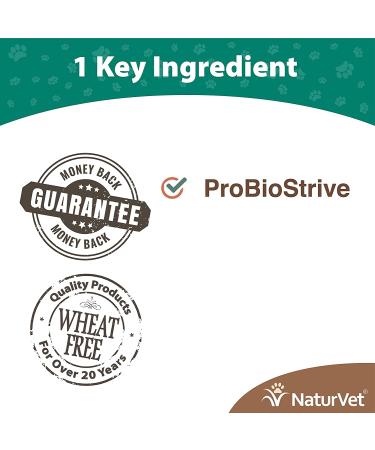 NaturVet Outta My Box 500 Soft Chews - Deters Dogs from Eating Cat Stools | Reduces Odors | 50 Day Supply - Buy Online on GoSupps.com