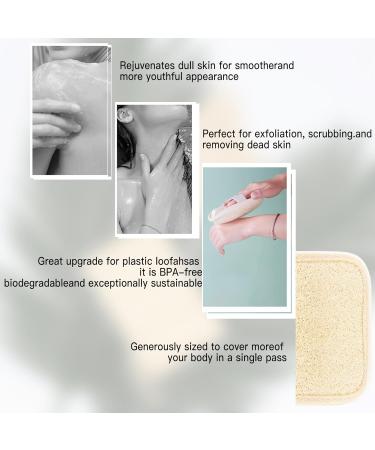 Natural Egyptian Shower Loofah Sponge - 3 Pack Deep Clean Face & Body Scrubber - 5x5 Inch - Buy Online on GoSupps.com