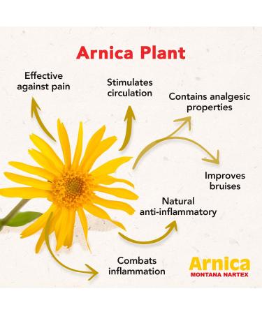 Nartex Arnica Recovery Tablets - 60 Count | Natural Relief for Sore Muscles, Bruises & Sprains - Buy Online on GoSupps.com