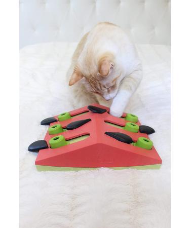 Petstages Nina Ottosson Melon Madness Interactive Cat Treat Puzzle - Buy Online on GoSupps.com