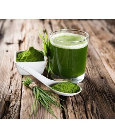 Hion Green Powder Ultimate Blend - UK's #1 Super Greens Powder | No Fillers | Industry Leading Superfood - Buy Online on GoSupps.com