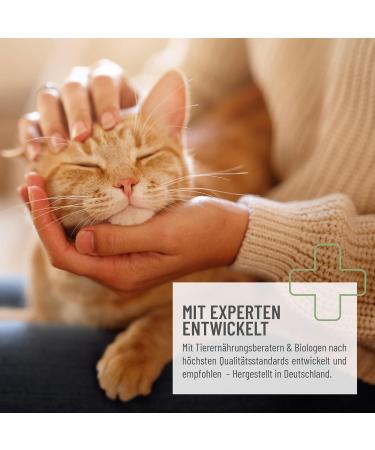 ReaVET Vitamin Complex 50g B vitamins for Cats vitamins for Cats Multivitamin Powder for Cats Purely Natural ideal as a Barf supplement - Buy Online on GoSupps.com