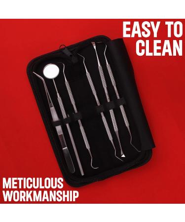 Dental Care Kit - 6 Pcs Stainless Steel Tools for Tooth Filling Repair and Pet Care - Buy Online on GoSupps.com