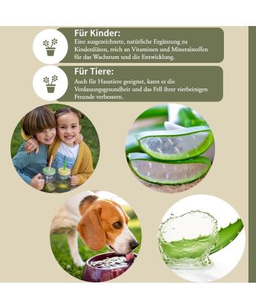 Vitabello Medical Vitafello Barbadensis Organic Barbadensis Miller Aloverose Gel 500 ml Bottles 05 L Aloverose 1200 mgliter EU certified from Spain brown glass Vegan Sports Hair Body Fitness Beauty Drink - Buy Online on GoSupps.com