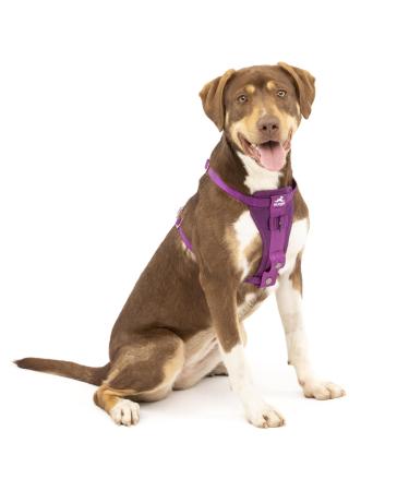 Kurgo Tru-Fit Dog Harness Crash Tested Car Seat Belt For Dogs 2-5 kg Size M Purple Purple M