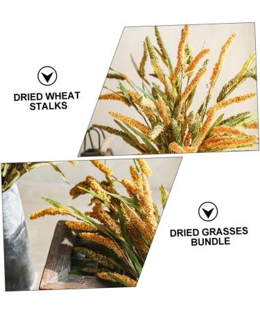 Alipis 3pcs Simulated Ears of Corn Dried Grasses Bundle Home D cor Dried Millet Home Accessories Decor Faux Plants Artificial Plant Home Decor Millet Decor Paddy Artificial Grass Iron Greenx3pcs 12X75CMx3pcs - Buy Online on GoSupps.com