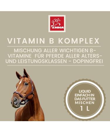 Vitamin B Complex for Horses - 1L Liquid | High Dose B1 B2 B6 B12 | Supports Muscles Immune System Nerve Energy & Metabolism - Buy Online on GoSupps.com